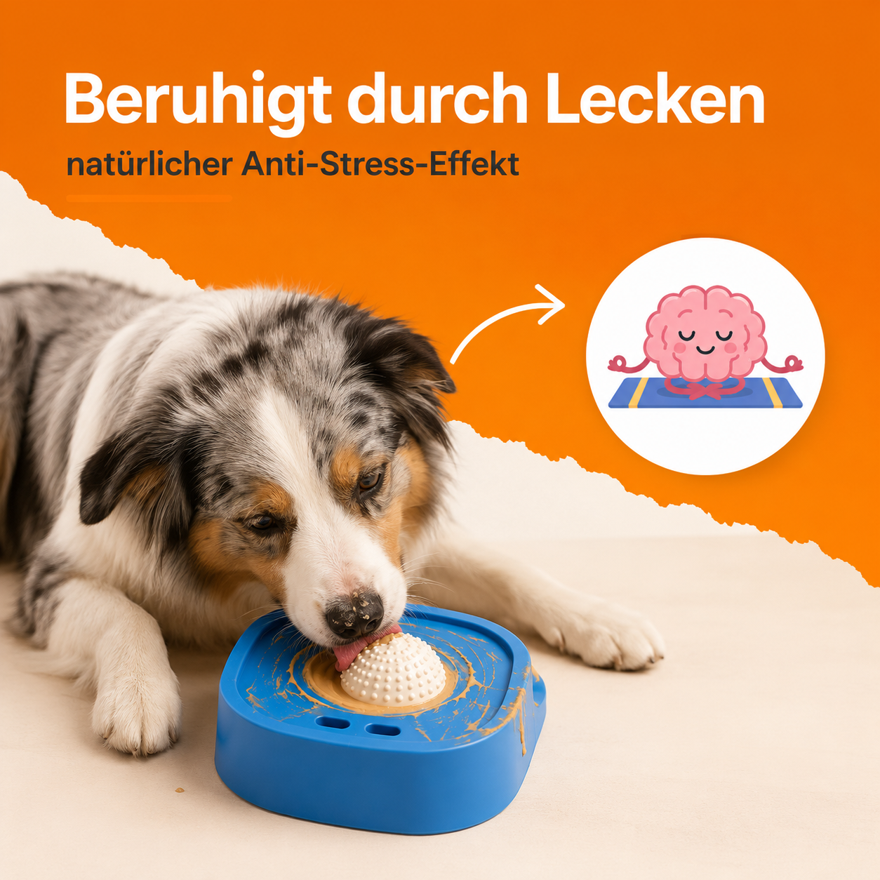 CoolDog - Leckball & 10 Rezeptideen